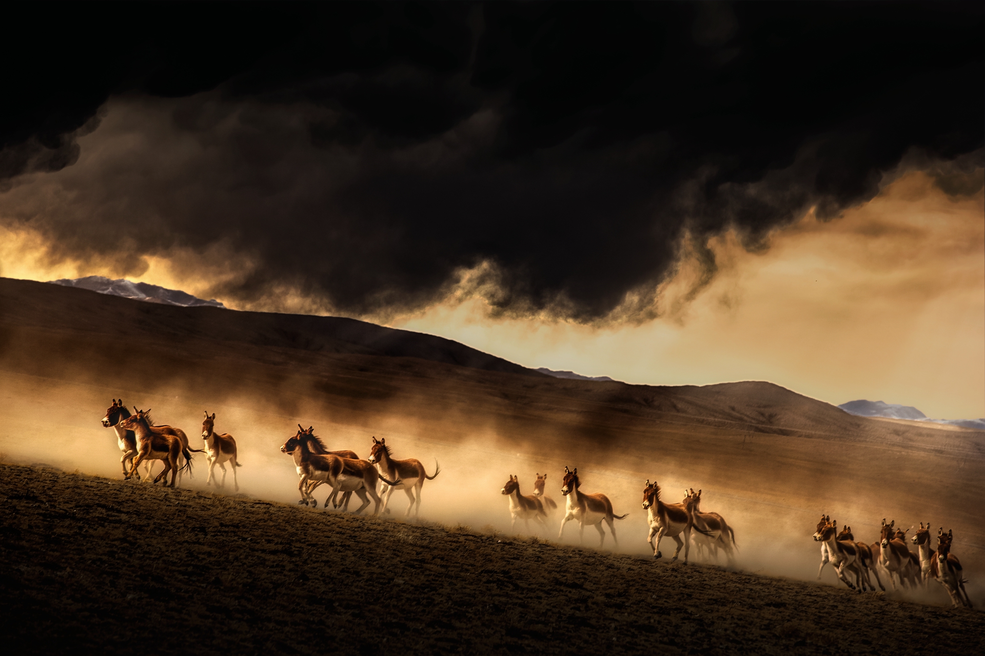 Shengfu Jiao (China) The Mountain Rain Is Coming 3